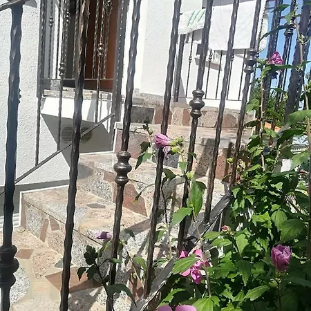 Jozefina Porec